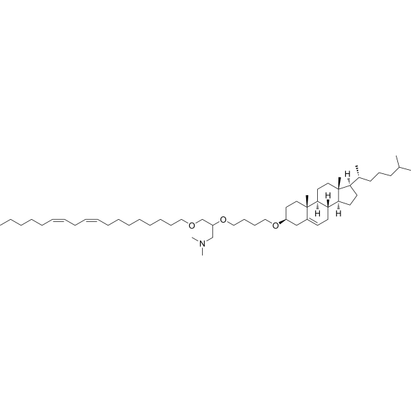 CLinDMA Structure