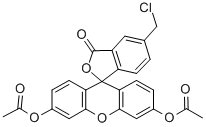 CMFDA Structure