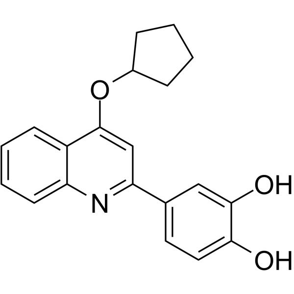 CMS-121 Structure