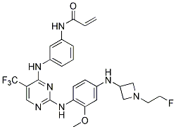 CNX-2006 Structure