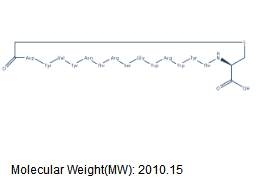 CP2 Structure