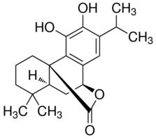 Carnosol Structure