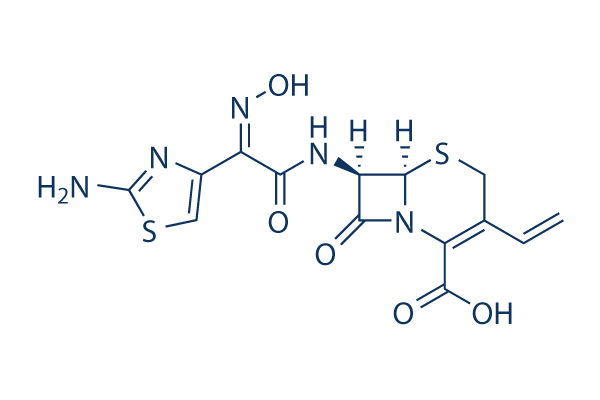 Cefdinir Structure