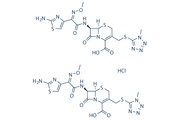 Cefmenoxime HCl Structure