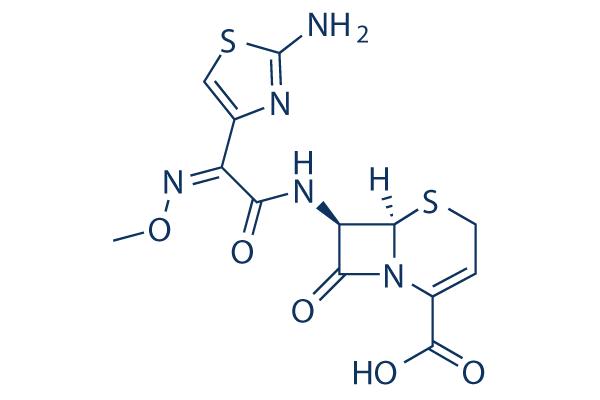 Ceftizoxime Structure