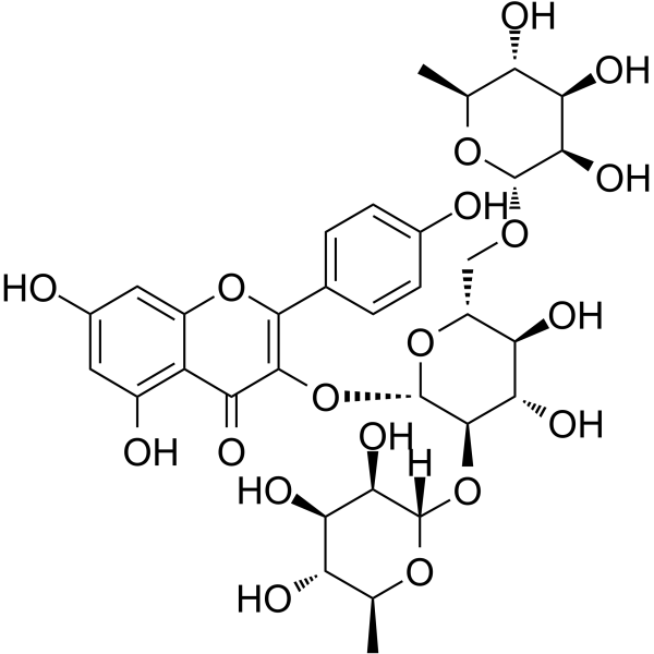 Clitorin Structure