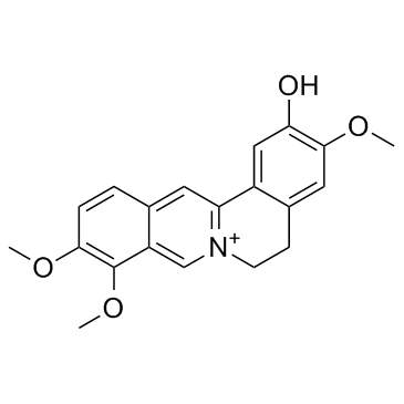 Columbamine Structure