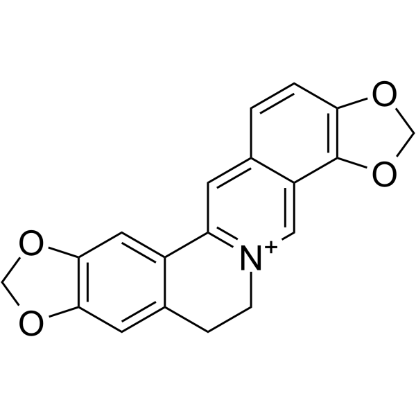 Coptisine Structure