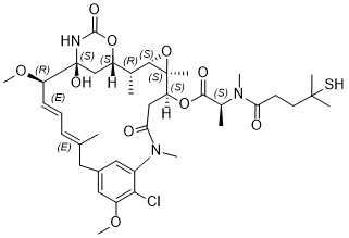 DM4 Structure