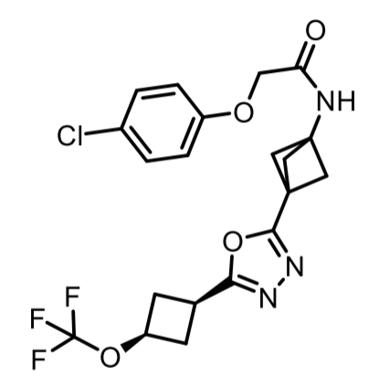 DNL343 Structure