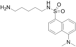 Dansylcadaverine Structure