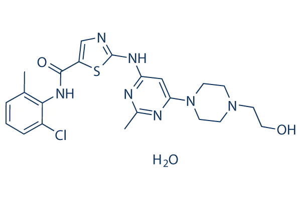 Dasatinib Monohydrate Structure