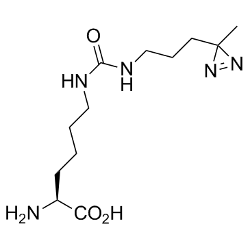 DiZPK Structure