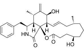 Dihydrocytochalasin B Structure