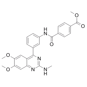 E6005 Structure