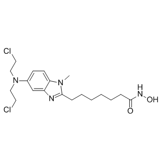 EDO-S101 Structure