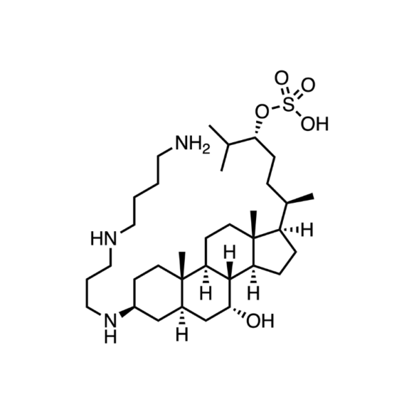 ENT-01 Structure