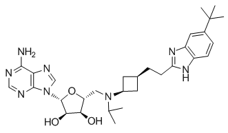 EPZ-5676 Structure