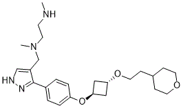 EPZ020411 Structure