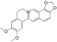 Epiberberine Structure