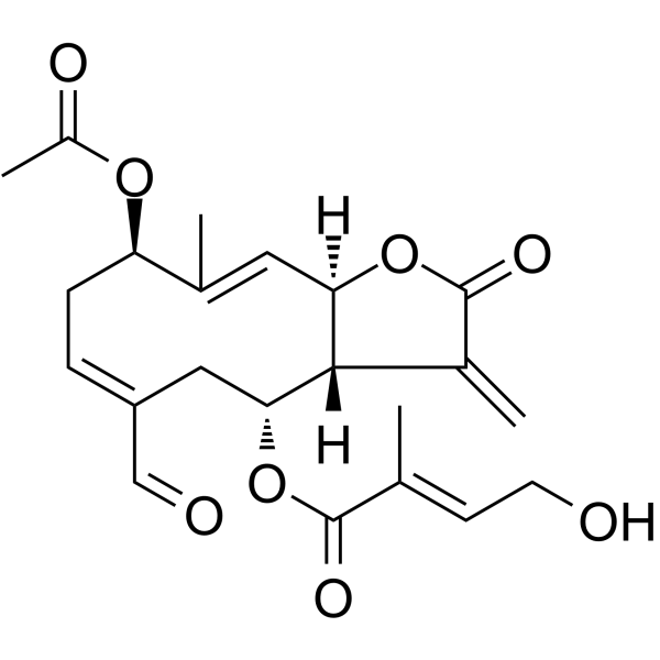 Eupalinolide O Structure
