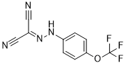 FCCP Structure