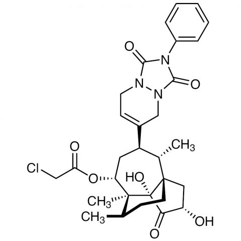 Ferroptocide Structure