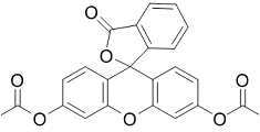 Fluorescein diacetate Structure