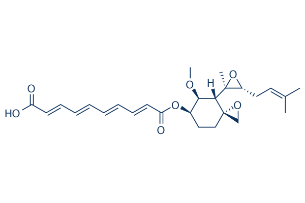 Fumagillin Structure