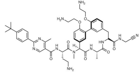 G0775 Structure