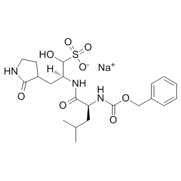 GC376 Structure