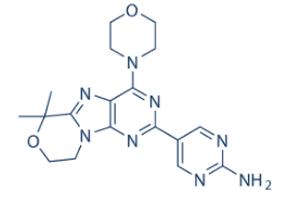 GDC-0084 Structure