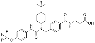 GRA Ex-25 Structure