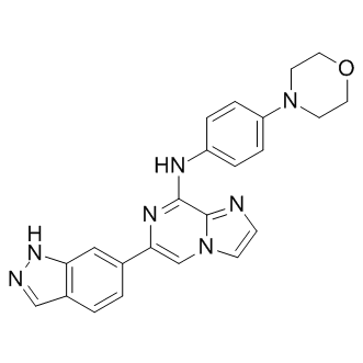 GS-9973 Structure