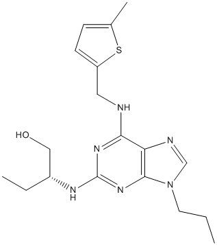 GV-58 Structure