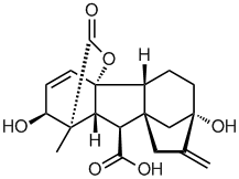 Gibberellin Structure