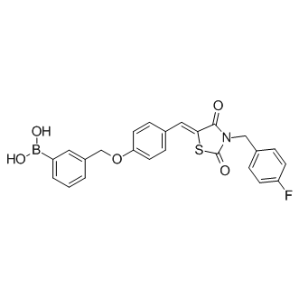 HA130 Structure