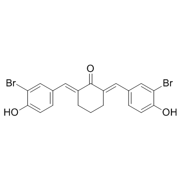 Histone Acetyltransferase Inhibitor II Structure