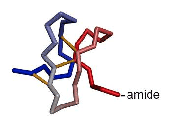 HwTx-IV Structure