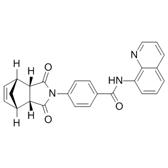 IWR-1-endo Structure