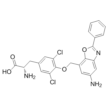 JPH203 Structure