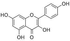 Kaempferol Structure