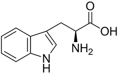 L-Tryptophan Structure