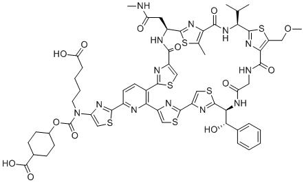 LFF571 Structure
