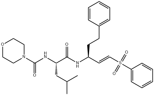 LHVS  Structure