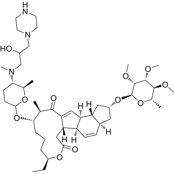 LM2I Structure