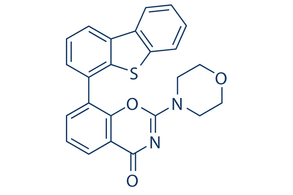 LTURM34 Structure