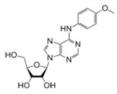 LUF5519 Structure