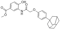 LW6 Structure