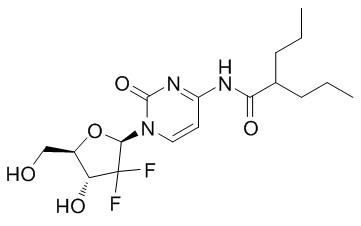 LY2334737 Structure
